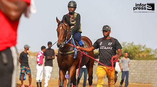 Hipismo/Fogo: Morreu o cavalo Vulcão um dos destaques nas competições de hipismo em Cabo Verde