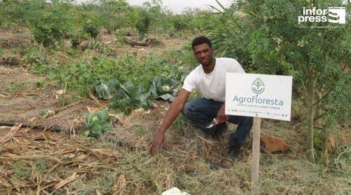 Porto Novo recebe workshop de avaliação do projecto sobre sistemas agroflorestais de Santo Antão