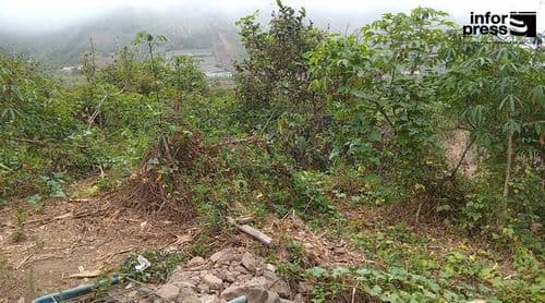 São Nicolau: Escassez de mão-de-obra provocada pela emigração jovem ameaça arranque do ano agrícola