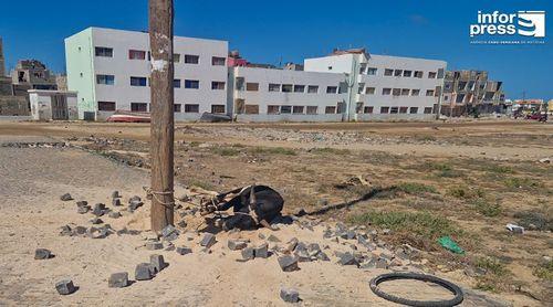 Boa Vista: Morador denuncia insegurança, danos no património e abate clandestino de animais em zona urbana