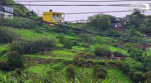 Brava: Associação Biflores destaca recuperação do ano agrícola e apela à diversificação das culturas