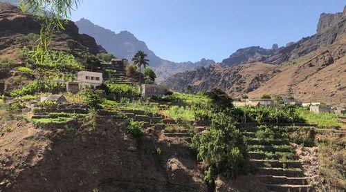Porto Novo: Agricultores com dificuldades de escoamento dos produtos devido às más condições de estrada