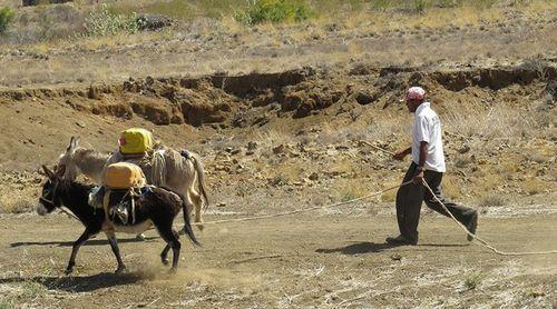 Porto Novo/Planalto Leste: Algumas comunidades sem água para consumo há uma semana – responsável