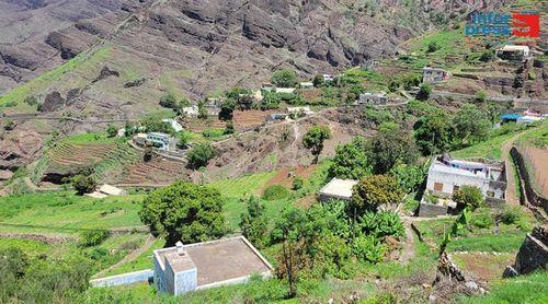Porto Novo: MAA diz que edifício em Alto Mira vai ser remodelado para receber entreposto agrícola
