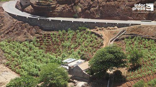Porto Novo: Ministério da Agricultura anuncia remodelação completa de barragem subterrânea em 2025    
