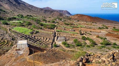 Porto Novo: Agricultores de Chã de Norte alertam para o declínio da actividade agrícola devido à escassez de água 