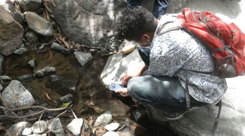 São Miguel: Casos de esquistossomose ultrapassam uma centena e cientista pede reforço das equipas de controlo