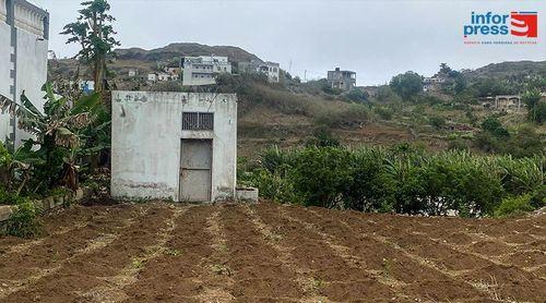 Brava: Lavradores dizem-se preocupados com escassez de mão de obra na agricultura