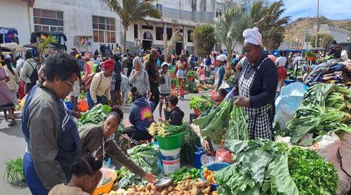 Santa Catarina/Feira das Cinzas: A tradição ainda é o que era