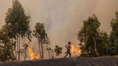 Portugal/Incêndios: Governo declara situação de alerta a partir de domingo até quinta-feira
