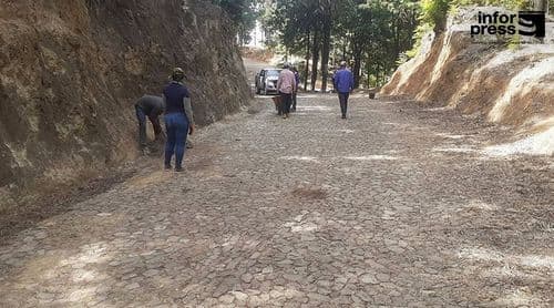 Santo Antão/Planalto Leste: Ministério do Ambiente prepara floresta para chuvas com manutenção das estradas