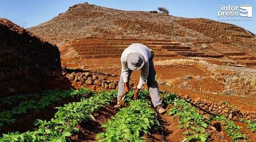 Porto Novo: Agricultores alertam para o espectro de mais um ano de seca e sugerem mobilização de água