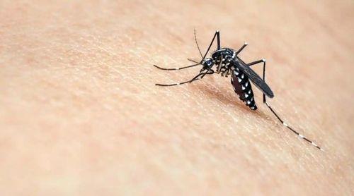 Cabo Verde investe na formação de profissionais para reforçar vigilância epidemiológica contra o paludismo