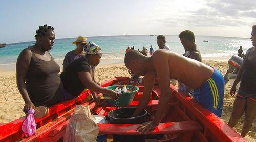 Mulheres representam 59% dos créditos de microfinanças em 2024- relatório