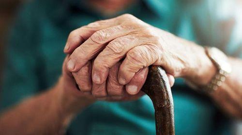 Idosos pedem mais formação e actividades desportivas diárias para manter corpo activo