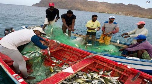 Pescas Costeiras: Cabo Verde participa no workshop e intercâmbio regional do projecto na Costa de Marfim