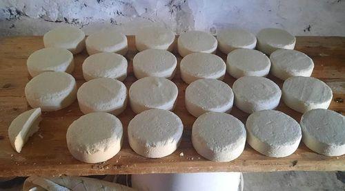 Porto Novo: Produtores admitem interesse de empresas estrangeiras no queijo do Planalto Norte 