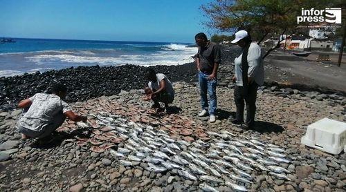 Porto Novo/Tarrafal de Monte Trigo: Deputados do PAICV alertam para “abandono” da unidade de apoio à pesca artesanal