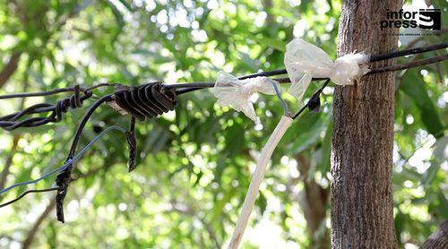 São Vicente é a segunda ilha com mais arguidos condenados por furtos e fraudes de electricidade - EDEC
