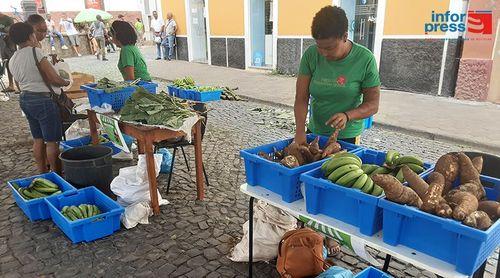 Ribeira Grande: Produtos disponibilizados em feira estimulam a uma boa alimentação - Organização 