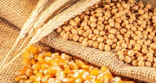 Mercado mundial: Preços dos produtos alimentares com tendência mista na semana de 13 a 19 de Março