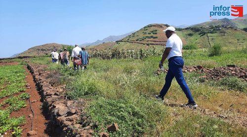 Porto Novo: Projecto hidroagrícola de Gamboeza e Ponte Sul pode arrancar em Setembro