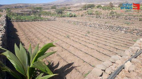Porto Novo: Equipa da empresa Água de Rega de visita ao município no âmbito do lançamento do projecto hidroagrícola de Gamboesa
