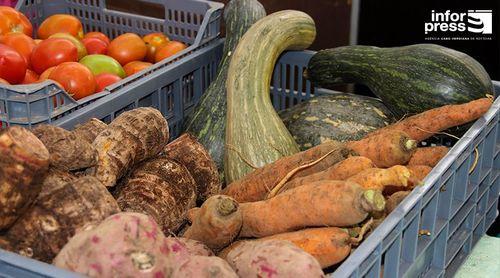 Porto Novo: Feira Na Cidade arranca sexta-feira com 30 expositores