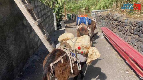 Porto Novo: Agricultores com “perdas avultadas” de produtos devido a “dificuldades de escoamento” – produtores   