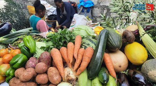 Porto Novo/Tarrafal de Monte Trigo: Produtores ansiosos pela operacionalização do entreposto agrícola – associação   