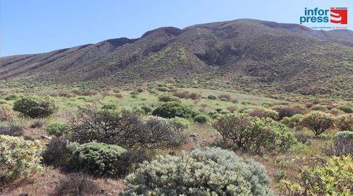 Porto Novo: Terrimar quer criar sinergias entre as iniciativas promovidas no parque natural de Tope de Coroa