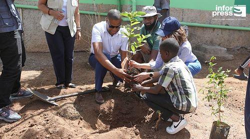 Dia Mundial do Ambiente: Aldeia Infantil SOS aposta na plantação de árvores para o bem-estar do ambiente   