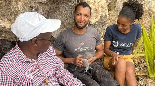 Associação Lantuna descobre nova colónia da ave Gongon na ilha de Santiago   