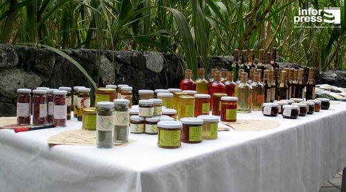 Porto Novo/Ribeira das Patas: Produtores apontam transformação de produtos agrícolas como via para evitar perdas na produção