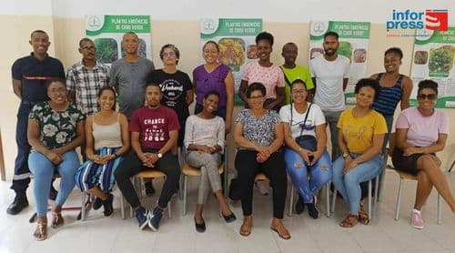 Ribeira Grande: Professores da Escola Secundária Suzete Delgado formados em primeiros socorros (c/áudio)