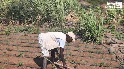 Agricultura: Extensão de terrenos doados pelo Estado às famílias vai triplicar no município do Porto Novo 