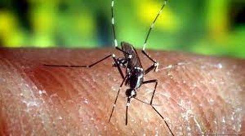 Cabo Verde apontado como bom exemplo por ministros unidos contra a malária em África