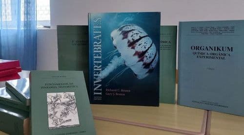 Santo Antão/Ensino Superior: Universidade do Porto ajuda ICTA no reforço do acervo bibliográfico