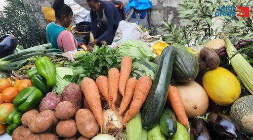 Porto Novo: Ministério da Agricultura promove jornadas técnicas para abordar desafios de produção