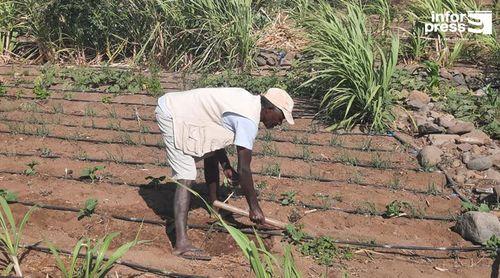 Delegado do MAA diz que não tem havido “diferenciação positiva” de Santo Antão