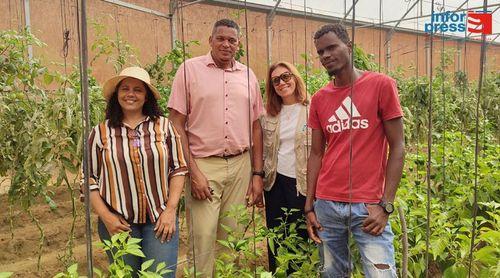São Nicolau: Coordenadora Residente do Sistema das Nações Unidas visita à ilha para se inteirar da realidade local