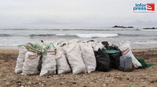Porto Novo: Terrimar exorta porto-novenses a se unirem para cuidar do litoral e proteger biodiversidade marinha