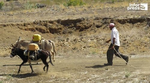 Porto Novo: Moradores do Planalto Norte pedem água auto-transportada para amenizar escassez