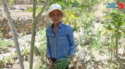 Santo Antão: Amupal destaca impacto do projecto sistemas agroflorestais na produção de hortícolas no Planalto Leste