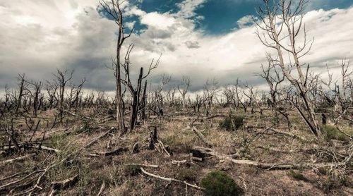 Associação portuguesa defende mais acordos climáticos como o que existe entre Portugal e Cabo Verde