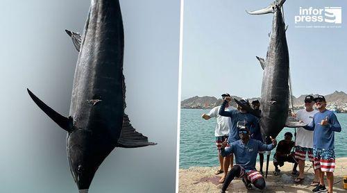 Cabo Verde vence campeonato mundial de pesca do ‘espadarte’ pela sétima vez (c/áudio)