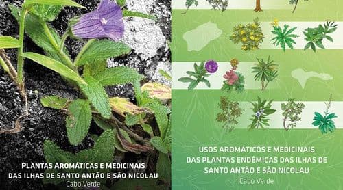 Ilhas de Santo Antão e São Nicolau já dispõem de guia de plantas aromáticas e medicinais