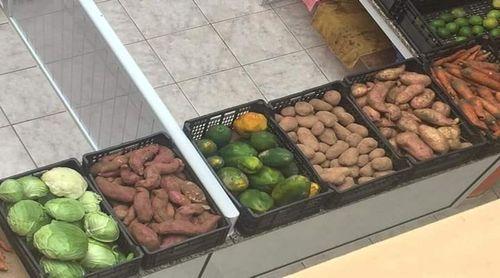 Porto Novo: Associação Família dos Verdes anuncia primeira edição da feira “Nós Herança” para divulgar produtos agro-pecuários