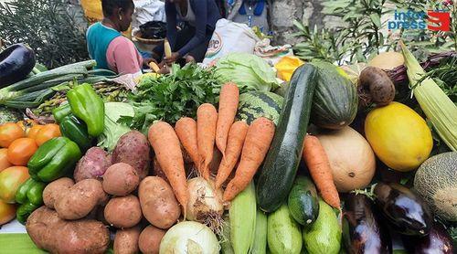 Porto Novo: Produtores esperam operacionalização do novo centro de expurgo ainda neste semestre