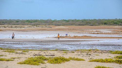 Maio: Governo promete melhorar equipamentos e transporte de sal da cooperativa de Porto Inglês